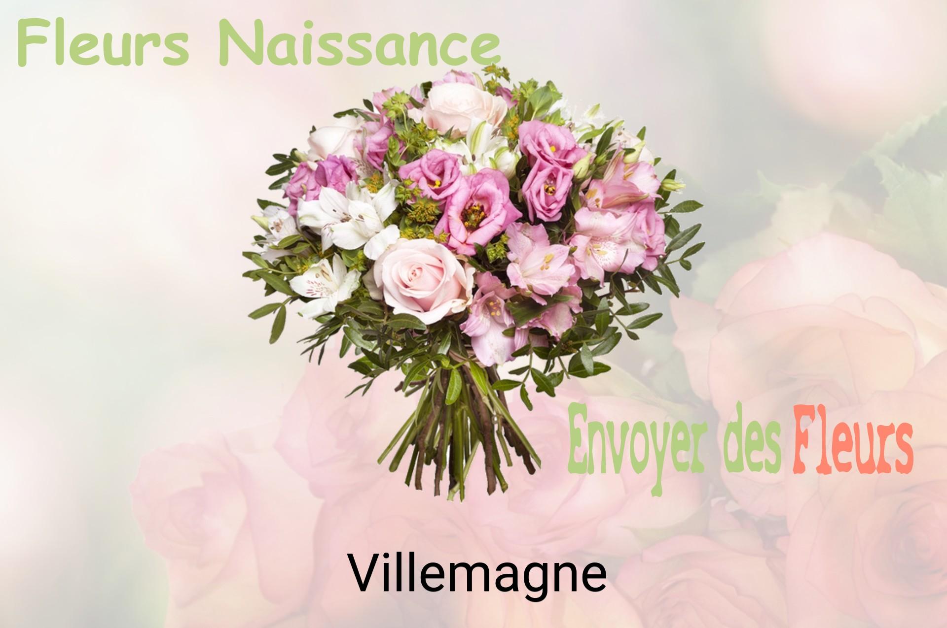 Bouquet de fleurs de naissance livré à Villemagne
